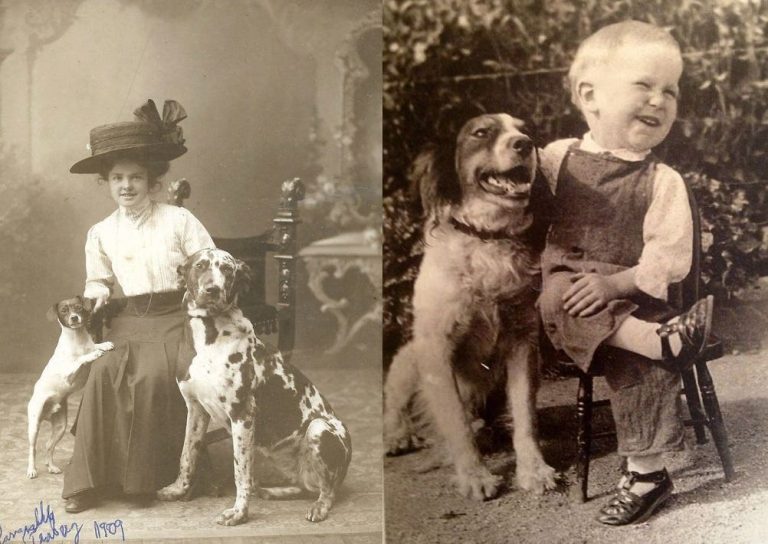 One Way You Could Find Out If Your Ancestors Had Dogs 100 Years Ago